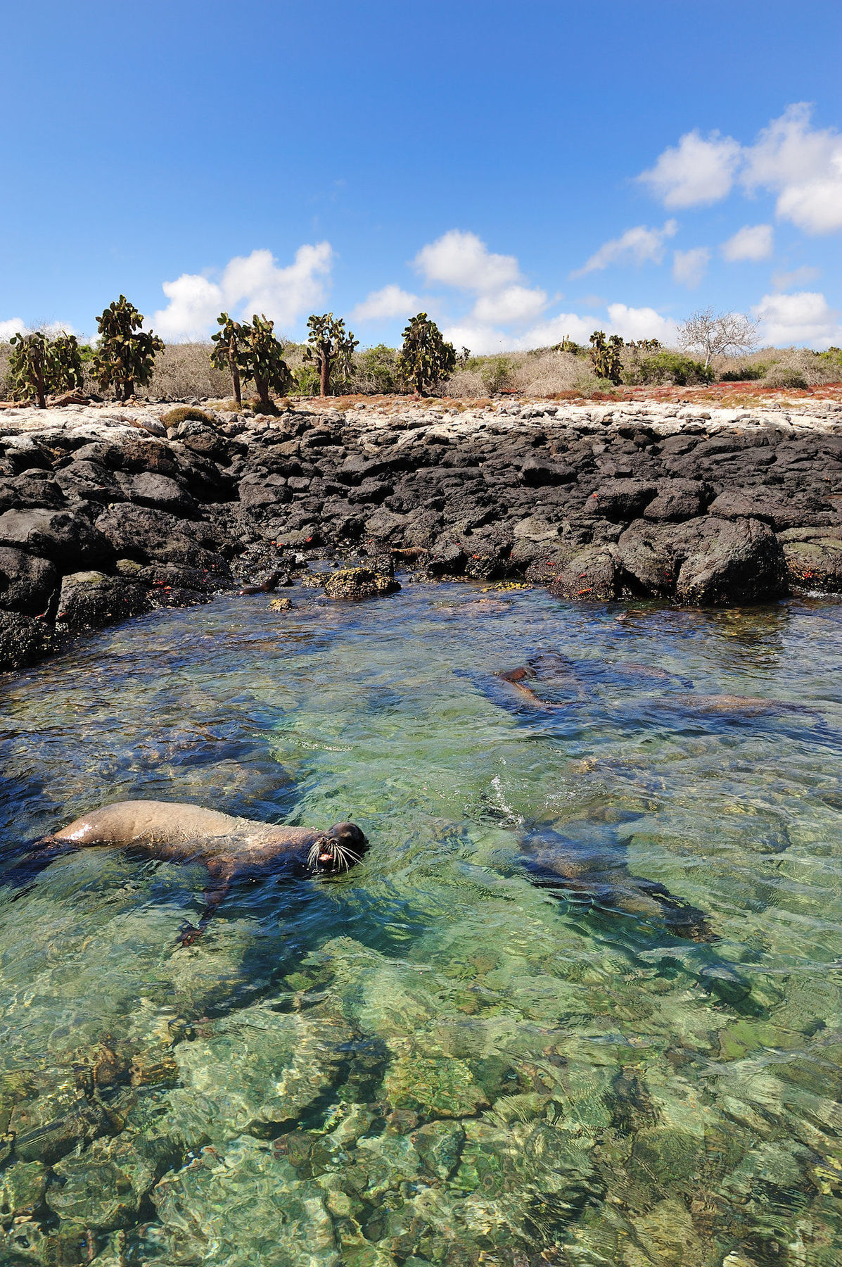 Pikaia Lodge Santa Cruz Island Екстер'єр фото