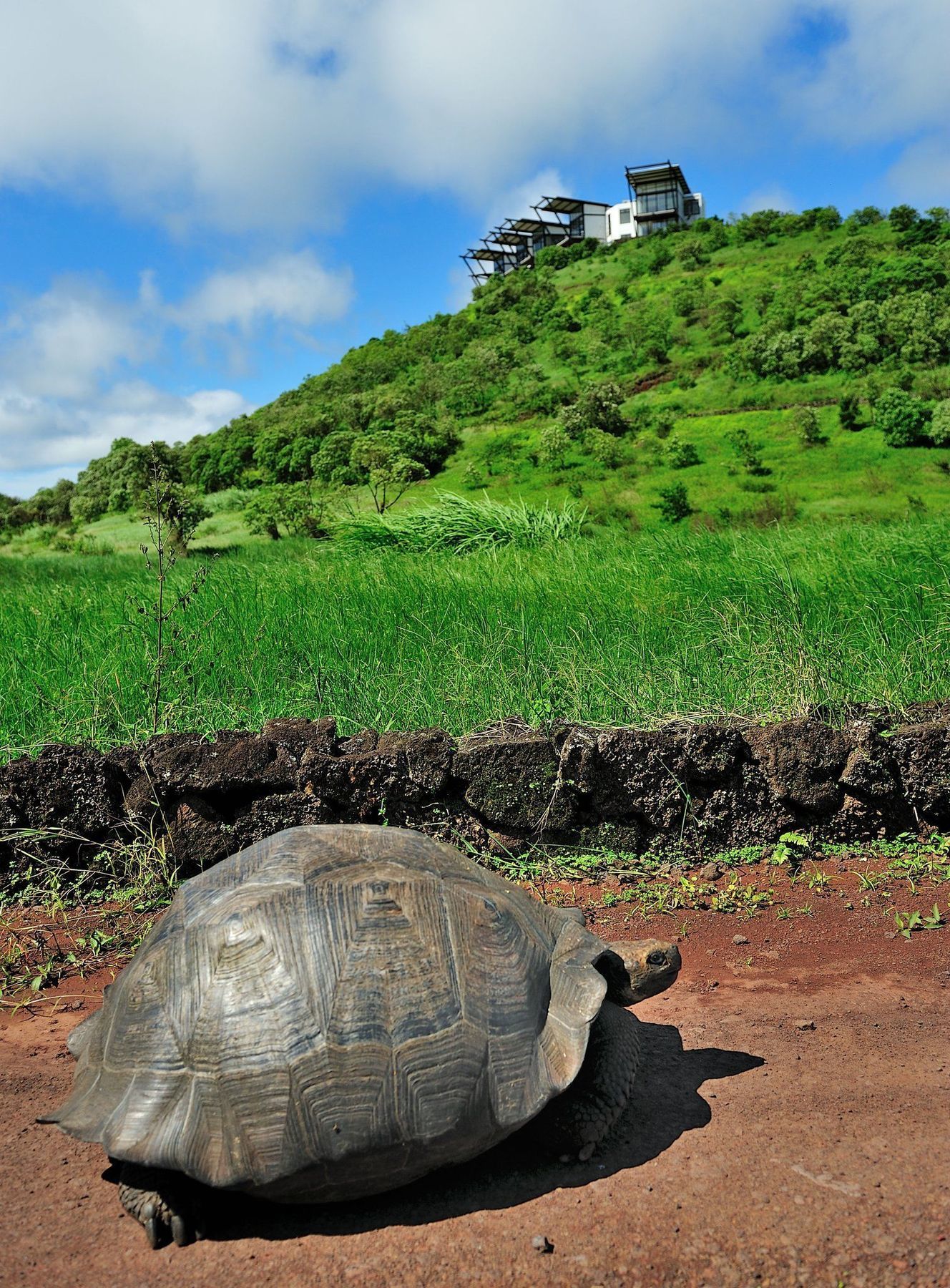 Pikaia Lodge Santa Cruz Island Екстер'єр фото